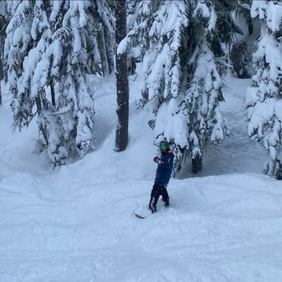 Meet your Posher, Jake - Picture 1 of 1